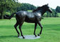 Grande scultura bronzea del cavallo, progettazione bronzea all'aperto dell'oggetto d'antiquariato del cavallo delle statue fornitore