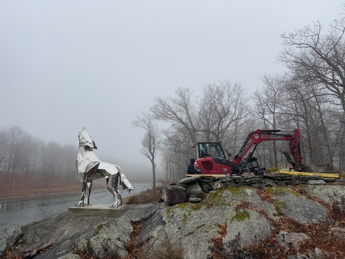 Ultimi blog aziendali su La scultura del lupo in acciaio inossidabile Wangstone installata negli Stati Uniti