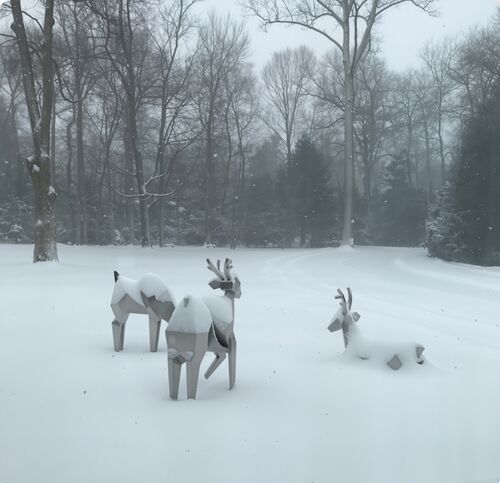 Ultimi blog aziendali su Il Gregge Cristallino: Dove la Natura Incontra la Geometria