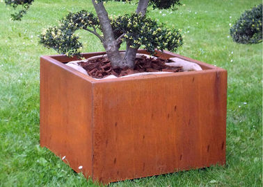 Un buon prezzo. Inscatoli la piantatrice d'acciaio di Corten di forma per all'aperto/giardino/decorazione pubblica in linea