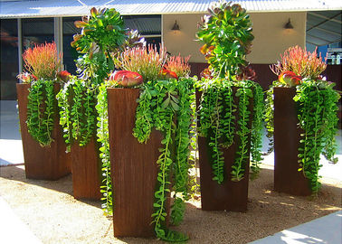 Un buon prezzo. Grandi fioriere in acciaio Corten stile moderno per decorazione esterna altezza 80 cm in linea